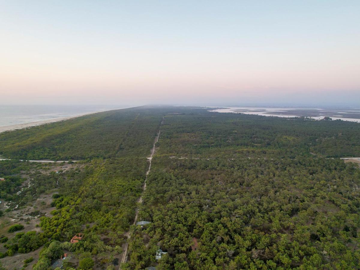 アヴェイロApartamento Encantador Perto Da Praia, Em Sao Jacintoアパートメント エクステリア 写真